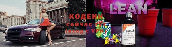 ГАЛЛЮЦИНОГЕННЫЕ ГРИБЫ Верея
