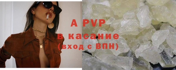 ГАЛЛЮЦИНОГЕННЫЕ ГРИБЫ Верея
