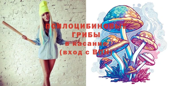 ГАЛЛЮЦИНОГЕННЫЕ ГРИБЫ Верея