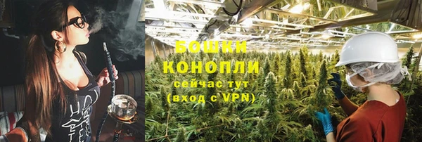 ГАЛЛЮЦИНОГЕННЫЕ ГРИБЫ Верея