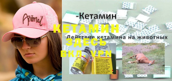 ГАЛЛЮЦИНОГЕННЫЕ ГРИБЫ Верея